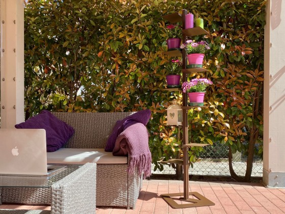 Книжный шкаф STUDIO T MR. GREEN