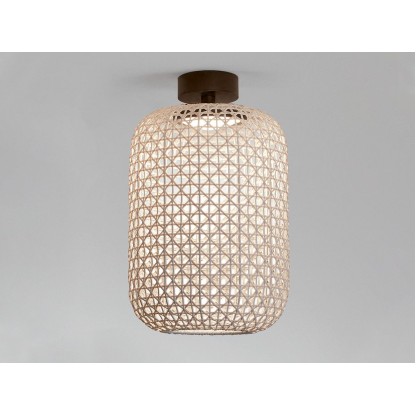 Уличные наружные потолочные светильники BOVER NANS PF/31.2 OUTDOOR