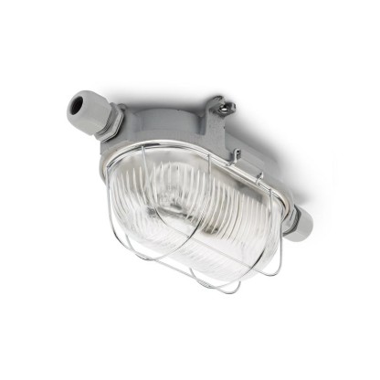 Уличные наружные потолочные светильники THPG 100503