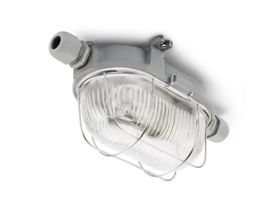 Уличные наружные потолочные светильники THPG 100503