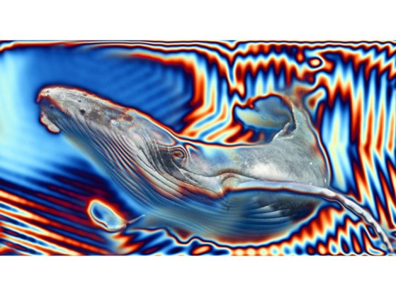 Акустические стеновые панели MOMENTI SN-001