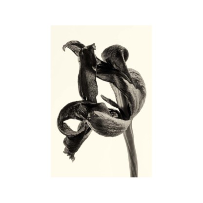 Акустические стеновые панели MOMENTI ED-017