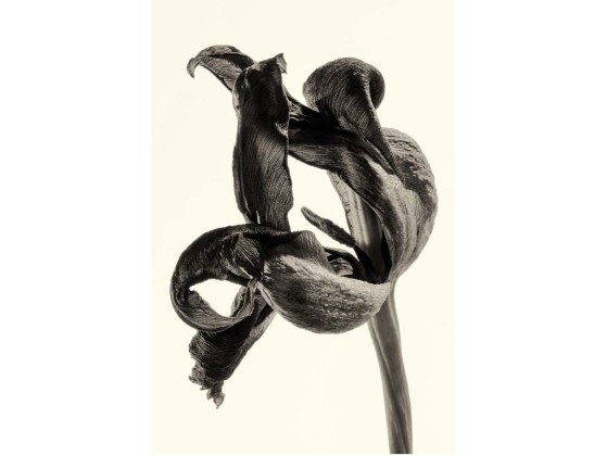 Акустические стеновые панели MOMENTI ED-017