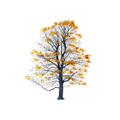 Картина Magis TREE AUTUMN