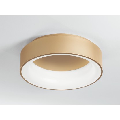 Потолочные светильники Fan Europe Lighting NOAH