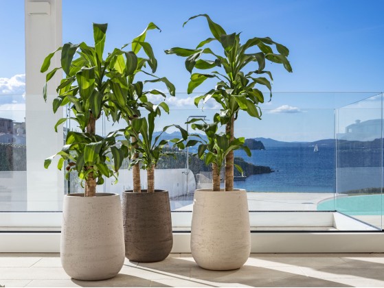 Ваза - кашпо для сада Pot a Porter PANAREA