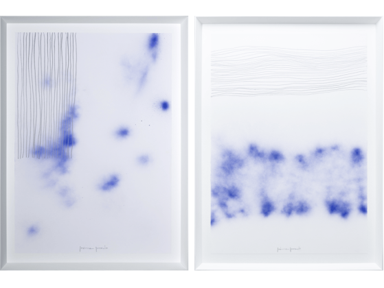 Картина NOVOCUADRO ART COMPANY LIANA AZUL I &amp; II