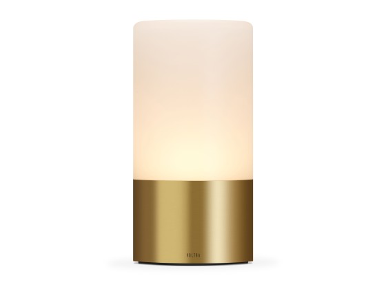 Уличная настольная лампа Voltra Lighting VOLTRA FROSTED NATURAL BRASS