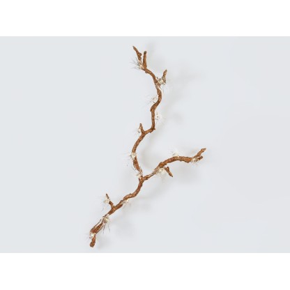 Бра - настенная лампа Serip VOA FLOCK