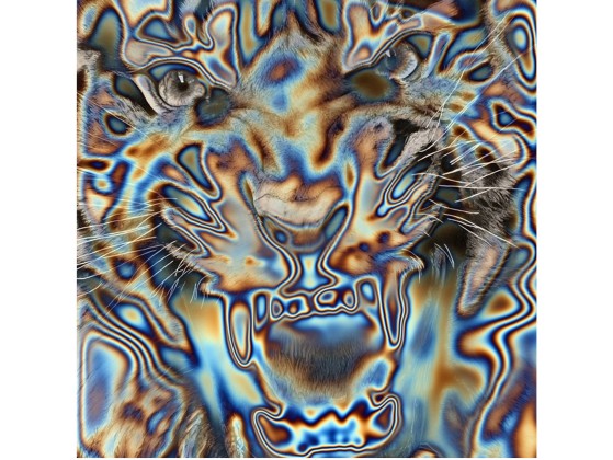 Акустические стеновые панели MOMENTI SN-007