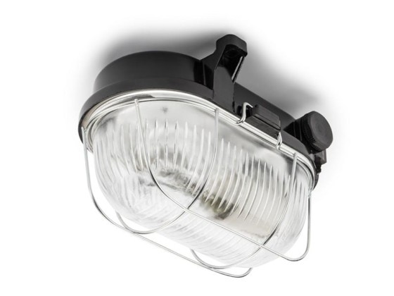 Уличные наружные потолочные светильники THPG 100500