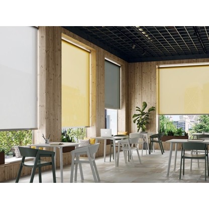 Рулонные шторы Saxun Рулонные шторы