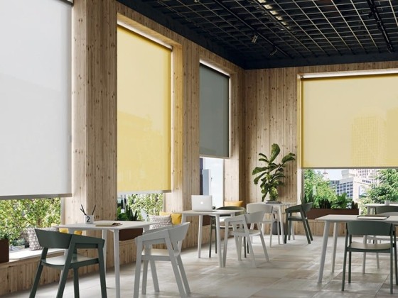 Рулонные шторы Saxun Рулонные шторы