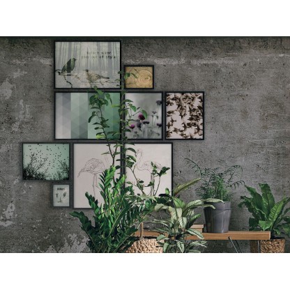 Картина Tomasella COLOURS