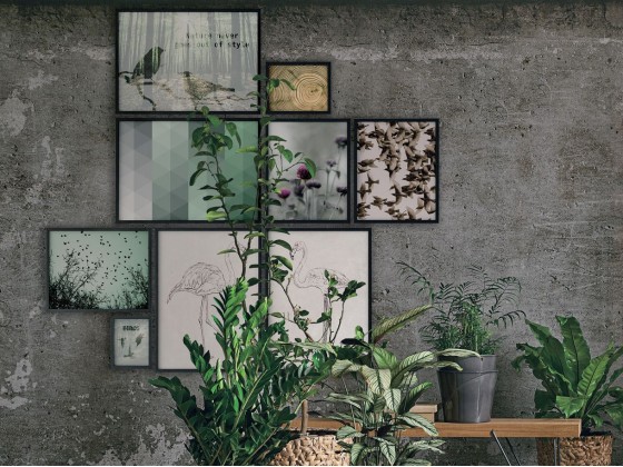 Картина Tomasella COLOURS