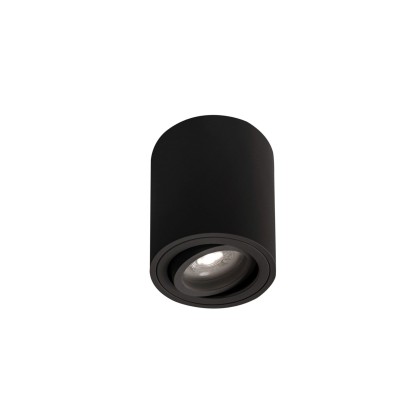 Потолочные светильники Rossini Illuminazione ARGO PIVOT