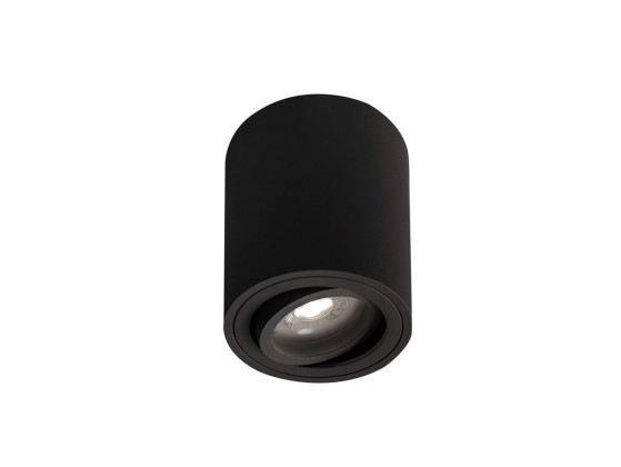 Потолочные светильники Rossini Illuminazione ARGO PIVOT