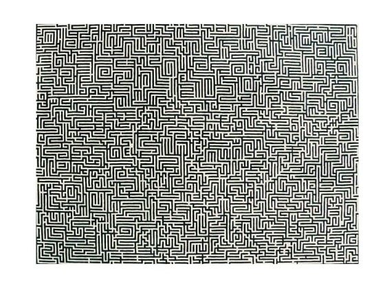 Ковер Cappellini MINO