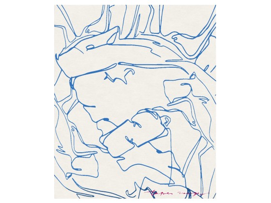 Ковер Tapis Rouge Distribution DARFO AZZURRO