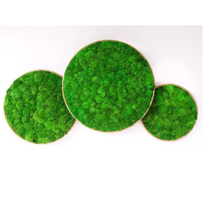 Акустические стеновые панели GREENMOOD G-CIRCLES