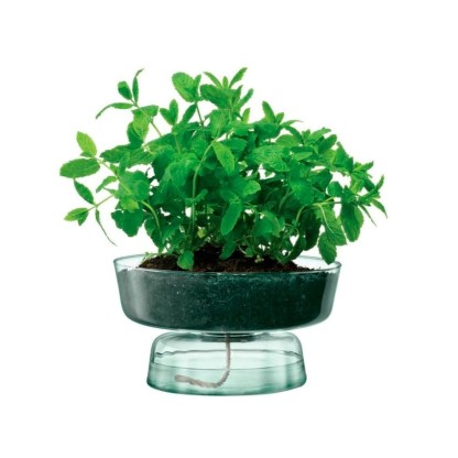 Ваза LSA CANOPY CQ15 / CQ16 / CQ17