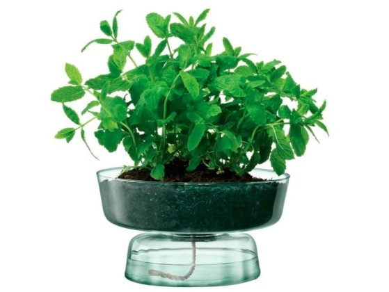 Ваза LSA CANOPY CQ15 / CQ16 / CQ17