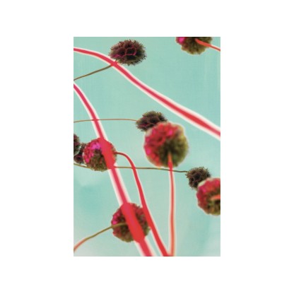 Акустические стеновые панели MOMENTI ED-005