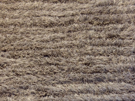 Ковер Woodnotes AAPA