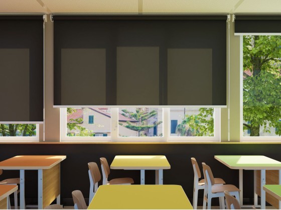 Рулонные шторы Mottura HANDLE 8234-1765