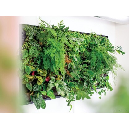 Рама с декоративными растениями Greenworks GREEN SCREEN