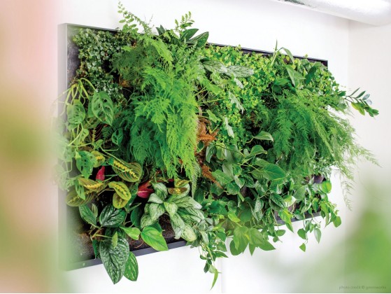 Рама с декоративными растениями Greenworks GREEN SCREEN