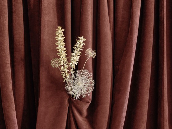 Ткань для штор Elitis PHILAE