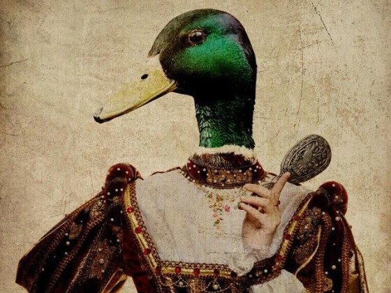 Акустические стеновые панели MOMENTI EB-012