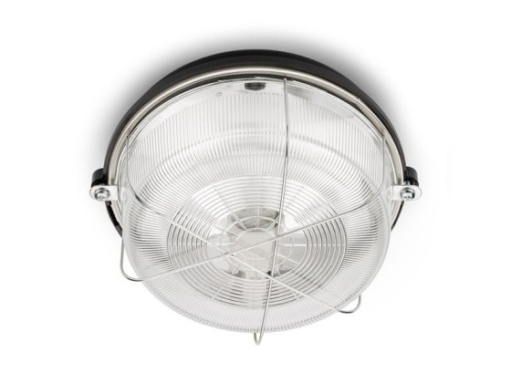 Уличные наружные потолочные светильники THPG 100499