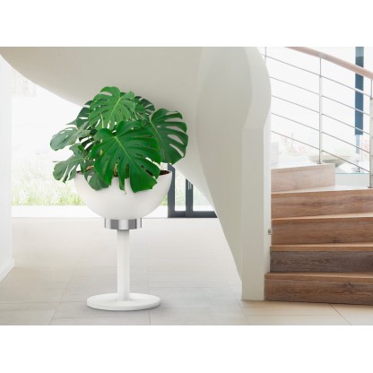 Кашпо BLOSS DRY