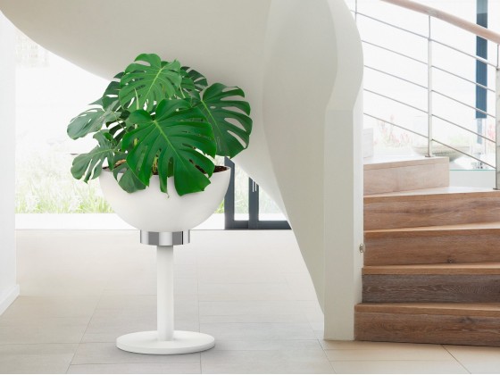 Кашпо BLOSS DRY