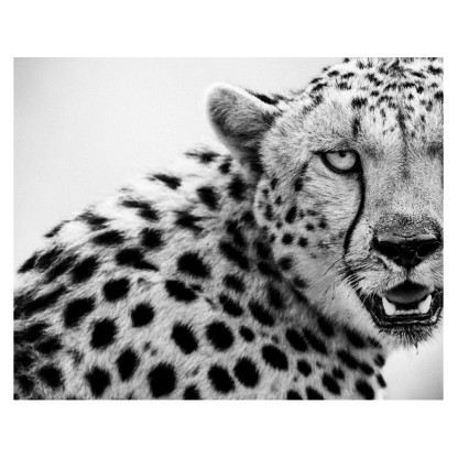 Акустические стеновые панели MOMENTI LB-010