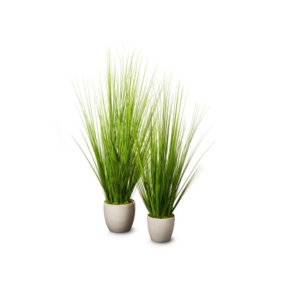 Ваза VGnewtrend IQUITOS