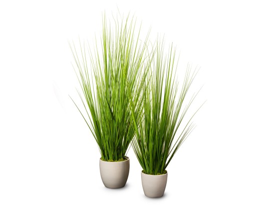 Ваза VGnewtrend IQUITOS