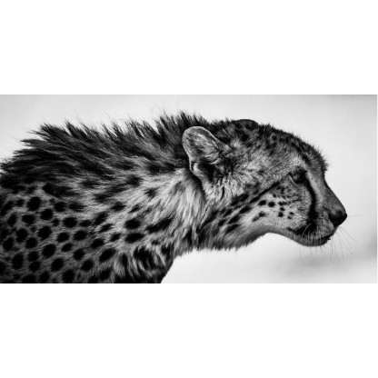 Акустические стеновые панели MOMENTI LB-012