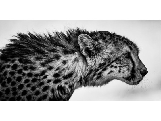 Акустические стеновые панели MOMENTI LB-012