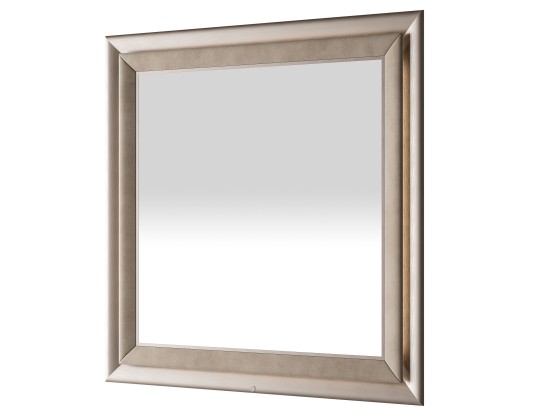 Зеркало CPRN HOMOOD DRAGONFLY