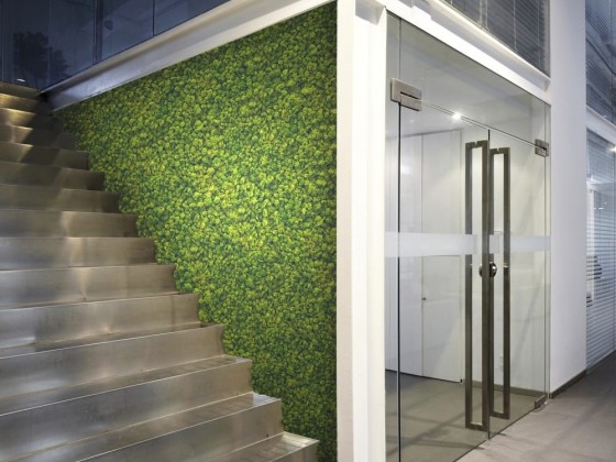 Искусственное вертикальное озеленение Adriani e Rossi edizioni LICHEN