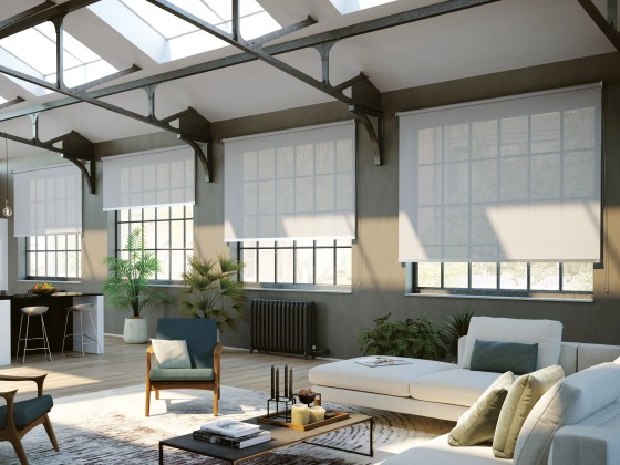 Рулонные шторы Mottura SIDEWINDER 8275