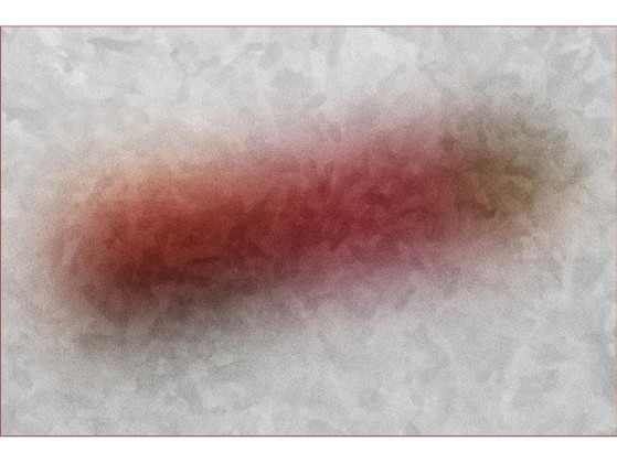 Ковер VIDAME EDITIONS BLUR 8