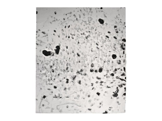 Ковер HENZEL STUDIO BRUCE LABRUCE