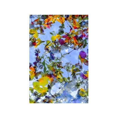 Акустические стеновые панели MOMENTI ED-023