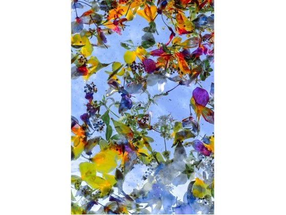 Акустические стеновые панели MOMENTI ED-023