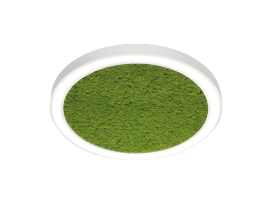 Потолочные светильники Metalmek VECTOR ROUND MOSS 9836 OP