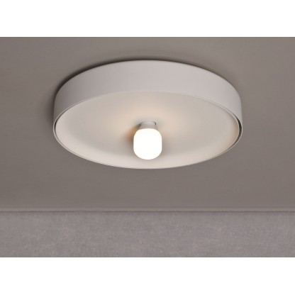 Потолочные светильники Vertigo Bird BIKINI